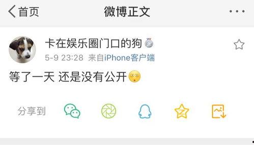 爆料热线 56吃瓜网,娱乐圈最新猛料大揭秘！